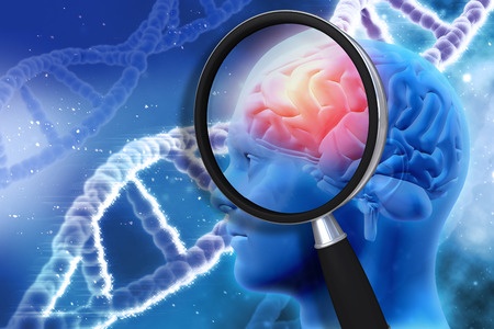 48082777 - 3d medical background with magnifying glass examining brain depicting alzheimers research