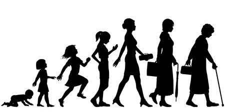21783809 - editable vector silhouettes of different stages of a woman