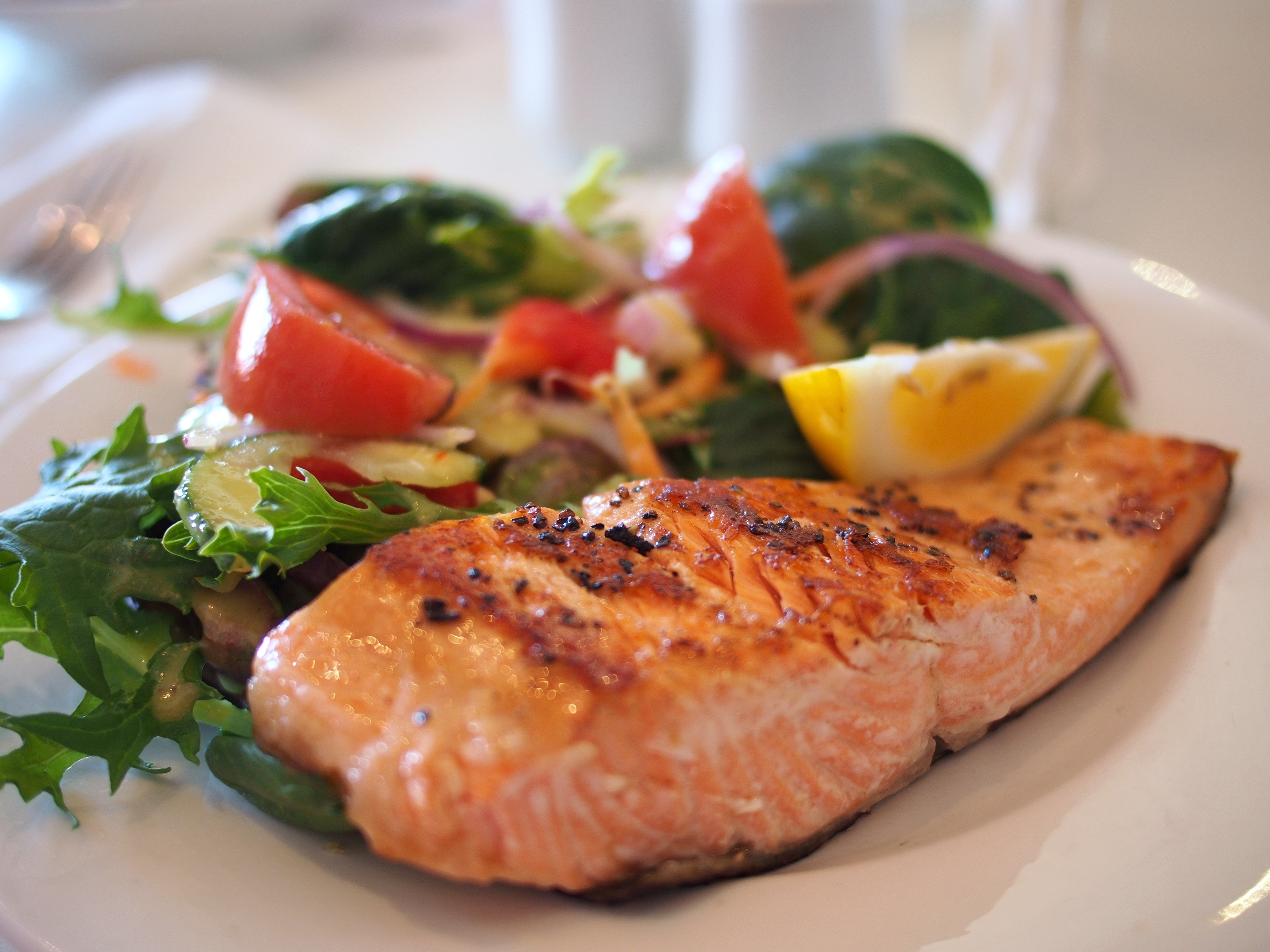 salmon-dish-food-meal